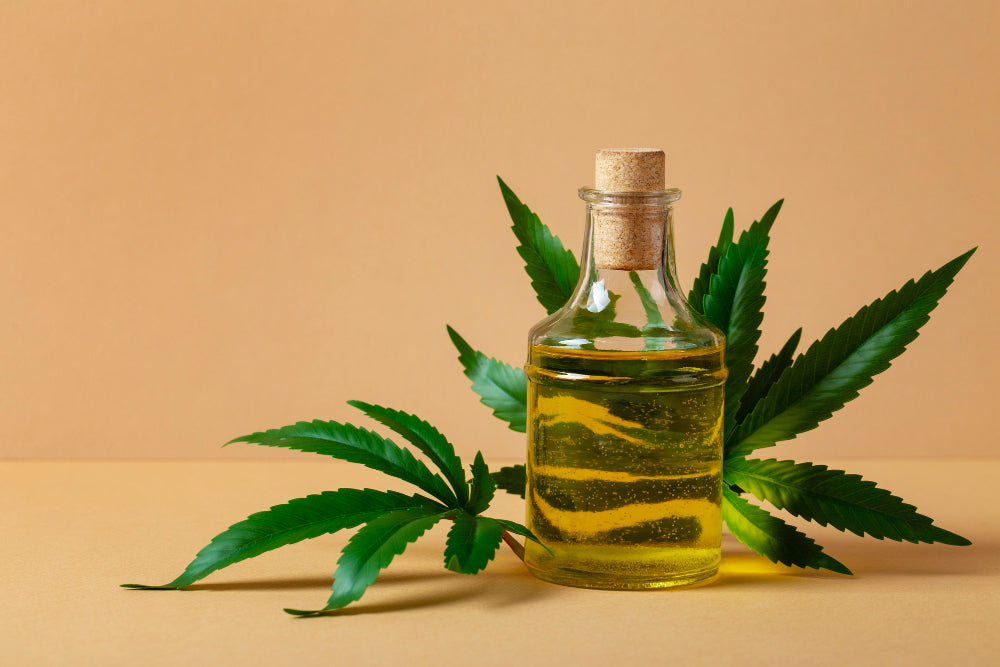 How to Make and Use Homemade Cannabis Oil