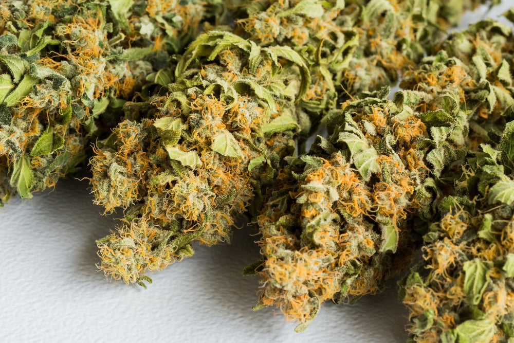 The Strongest Cannabis Strains: A Comprehensive Guide