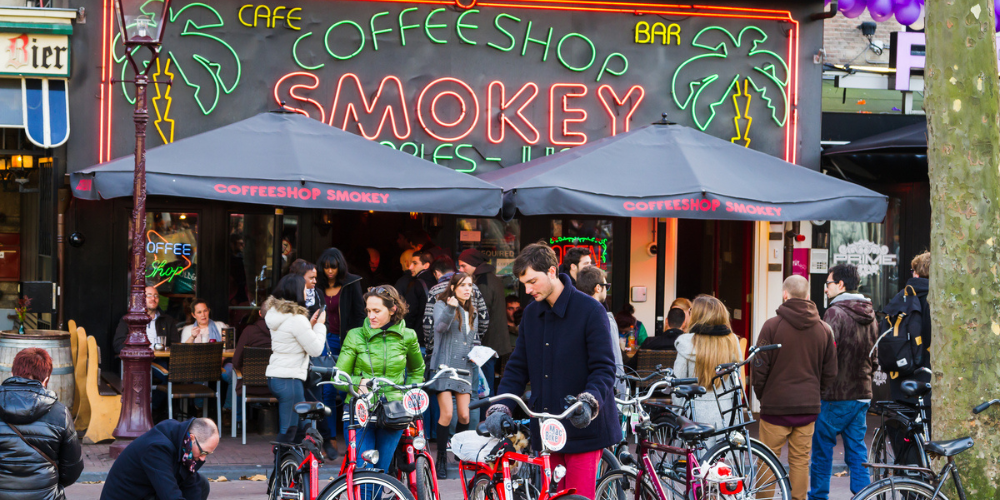 Top Coffeeshops in Amsterdam 2024: Best Spots for Cannabis