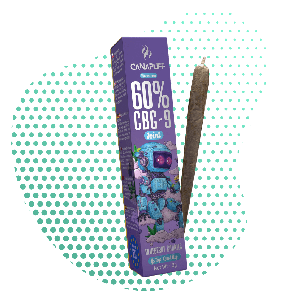 CBG9 Joint 60% Blueberry Cookies 2g Canapuff