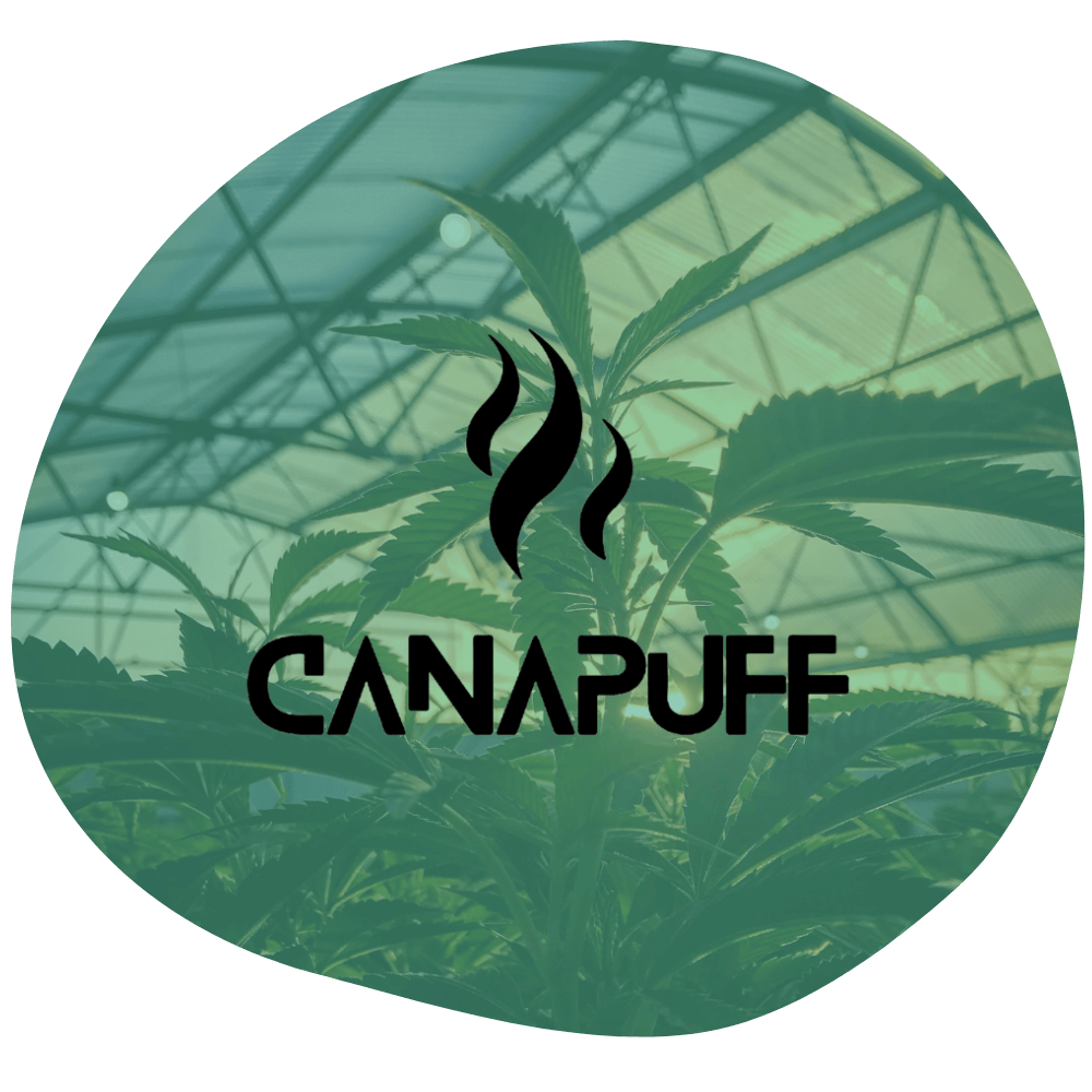 Canapuff Quality You Can Trust