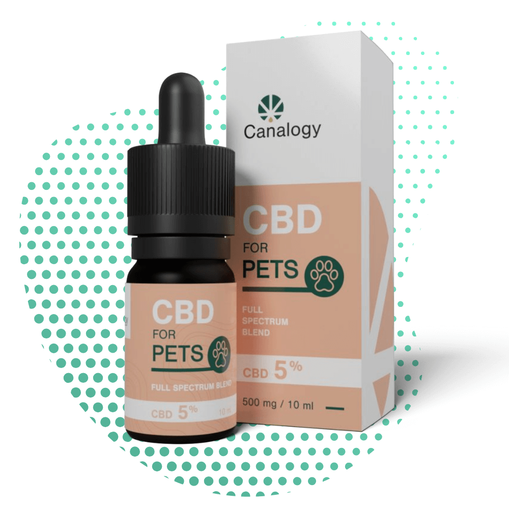 Canalogy 5% CBD Oil for animals